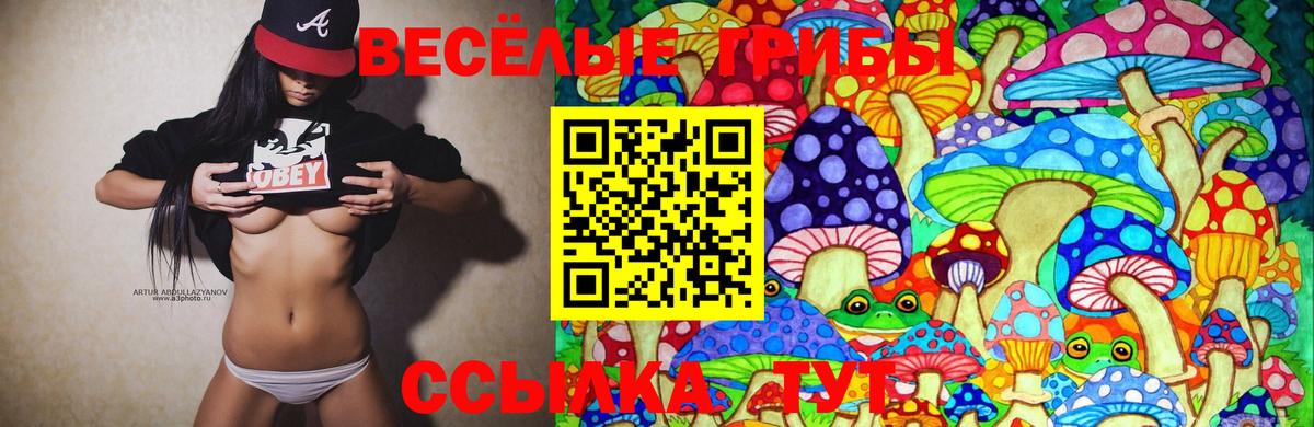 Осинники  Псилоцибиновые грибы GOLDEN TEACHER  Вход с VPN 